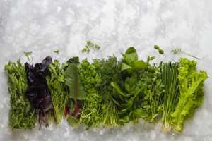 ¿Cómo conservar más tiempo tus hierbas para que no falten en tus comidas?